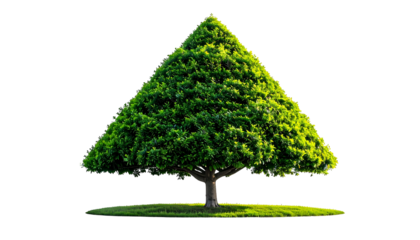 A stylized, triangular-shaped tree with dense green foliage, set against a black backdrop
