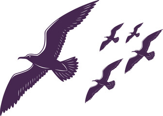 vector illustration of a flying bird