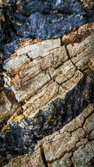 old cracked wood with visible details