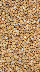 buckwheat with visible details. extura or background