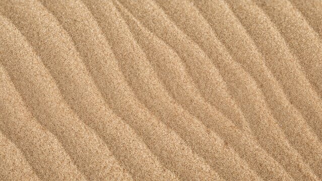 Sandy desert with rippled sand dunes, dry landscape, arid terrain, natural environment, vast expanse, and untouched terrain.