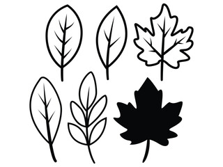 Autumn Leaf Silhouette Vector Set. Minimal Line Art Leaves
