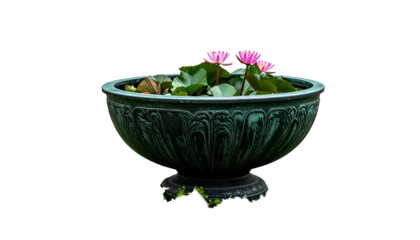 Large, weathered, green bowl holding lotus plants with pink blossoms against black