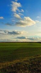 Wide green field under blue sky with clouds in countryside