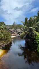 Fototapeta premium Seychelles II