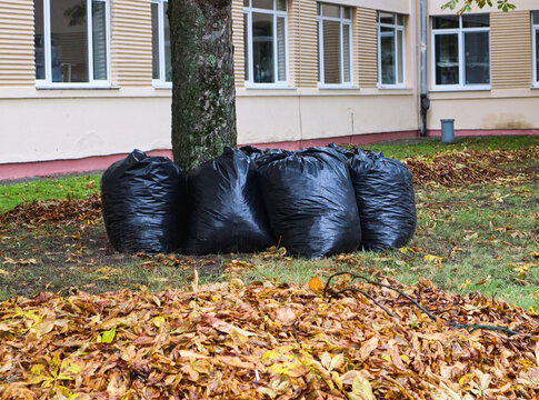 Autumn is the time for trash collection: black trash bags in the park