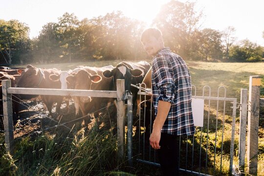 Portrait of smiling farmer opening gate for cows at farm