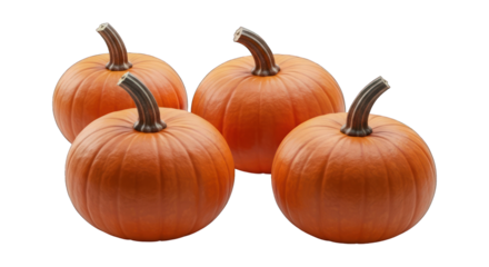 Four ripe pumpkins clustered together on a black background