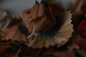 Close-up of pencil shavings with colorful pigment dust