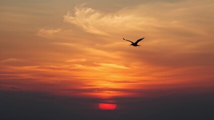 Sunset sky with a flying bird and vibrant orange, yellow, and red clouds.