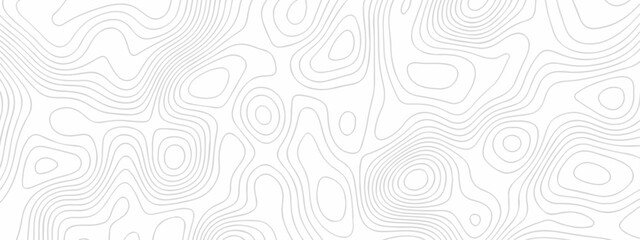 Abstract topographic White wave paper curved reliefs. Seamless swirl wave contour maps. Vector illustration. topography line map.