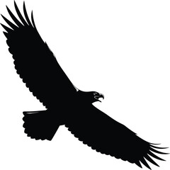 eagle in flight