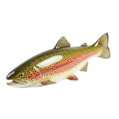 Naklejka premium Rainbow trout figurine isolated on transparent background is a beautiful piece