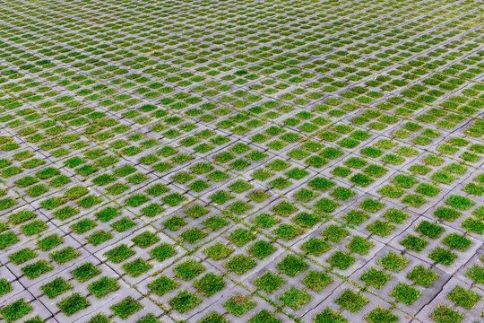 The nature of small grass and square brick paving in the park