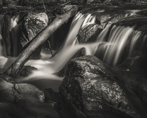 Soft Flowing Water Over Mossy Rocks in Black and White