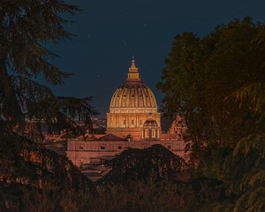 St. Peter's Basilica Dome at Night Framed by Trees from Janiculum Hill