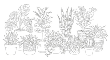 Detailed outline illustration of diverse potted houseplants suitable for coloring books, educational botanical resources, or decorative design elements in vector format.