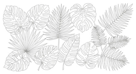 Elegant Tropical Leaves Outline Illustration for Botanical Designs, Coloring Pages, and Summer-themed Creative Projects and artistic illustrations