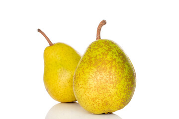 Sweet pear on white background, macro.