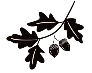 leaves oak branch with acorn silhouette 