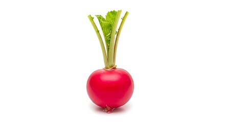 Fresh Red Radish with Green Leaves Isolated on White