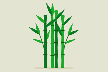 Fototapeta premium Bamboo stalks with leaves