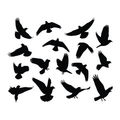 Collection of black silhouette bird flock flying in different poses against white background