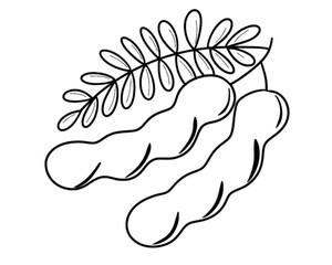 tamarind digital drawing