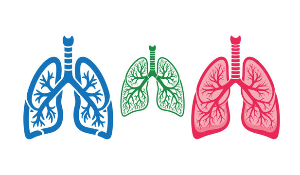 Stylized illustration of human lungs in blue, green, and red, symbolizing health, disease, and medical concepts