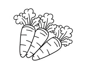 bunch of carrots vector illustration