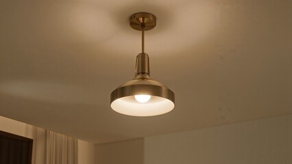 Ceiling lamp with metallic finish hanging from the ceiling in an indoor space. Interior lighting fixture in a modern setting.