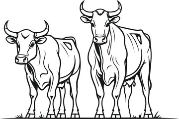 Bull and cow pair outline, clear muscular shape for bull, minimal style, white background, modern agriculture vector illustration 1