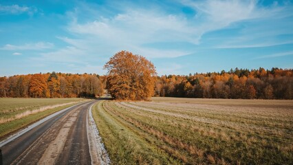 Naklejka premium Autumn landscape with a road, trees with fall foliage, and fields under a blue sky.