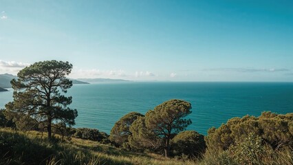 Obraz premium Coastal landscape with trees overlooking the ocean under a clear blue sky. Nature and scenery. The concept of outdoor landscapes and coastal views.