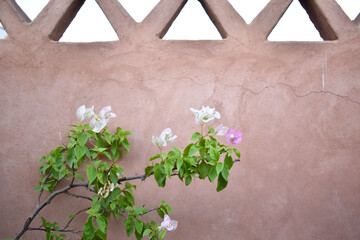 clay wall with pink flowers