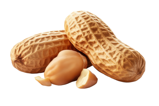 Detailed render of peanut allergens and food demonstrating the structure and properties of peanuts and their potential impact on allergic reactions