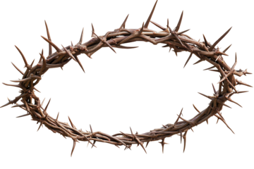 Crown of thorns represents pain, sacrifice, and faith in spiritual traditions during somber reflections or religious ceremonies