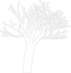 Bare tree silhouette vector illustration isolated on a white background