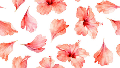 Seamless Watercolor Pink Hibiscus Flowers and Petals Pattern Isolated on White - Tropical Floral Background and Textile Design
