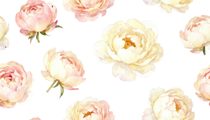 Watercolor Floral Pattern - Delicate Peonies on White