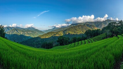 Lush green fields and rolling hills under a bright blue sky with clouds, showcasing natural landscape and scenic countryside.
