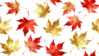Fototapeta premium Seamless Pattern of Red and Gold Maple Leaves on White