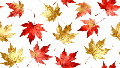 Seamless Pattern of Red and Gold Maple Leaves on White