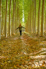 Young girl walking through a poplar tree in autumn.