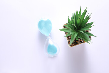 Hourglass with decorative plant on white background.