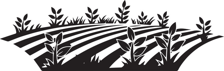 Monochrome portrayal of cultivated fields sprouting crops in min