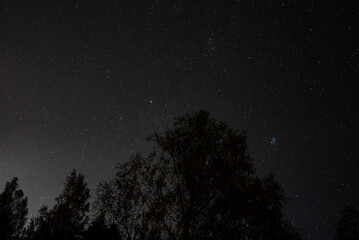 A clear night sky with the Orion constellation visible above a forested mountain range. Minimal light pollution enhances the star visibility in Austria.