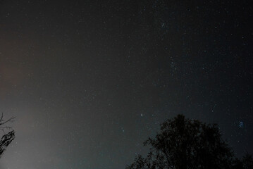 Dark night sky above tree silhouettes shows Pleiades cluster and a faint vertical chain near it, captured late at night with long exposure and minimal light pollution.