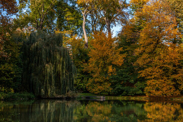 Autumn nature bohemia with sunset