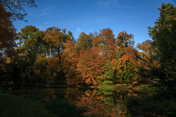 Autumn nature bohemia with sunset